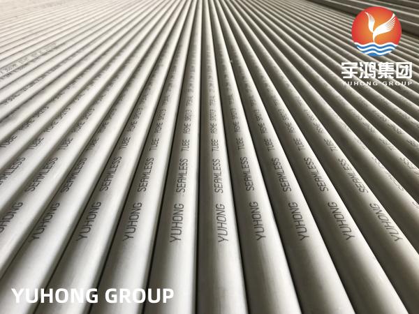 Stainless Steel SA213 TP304L Heat Exchanger Tube for Reactors and Distillation Towers