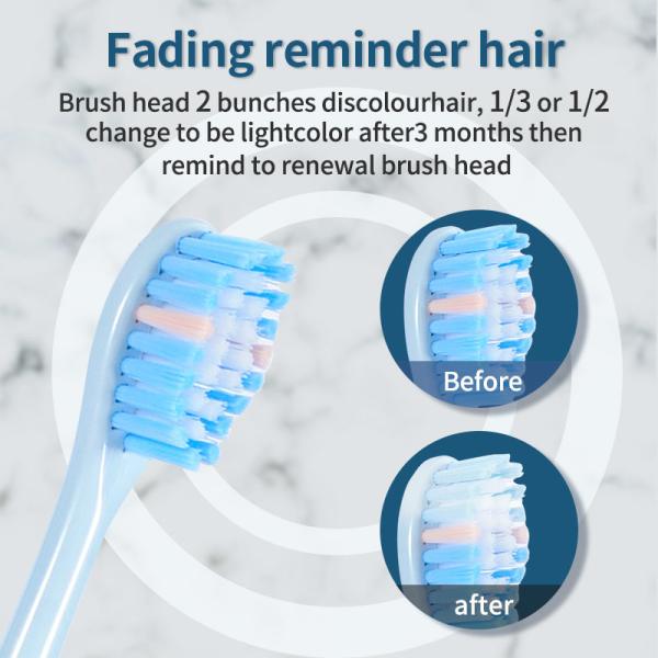 Smart Sonic Electric Travel Toothbrush Rechargeable With 2 Minutes Timer