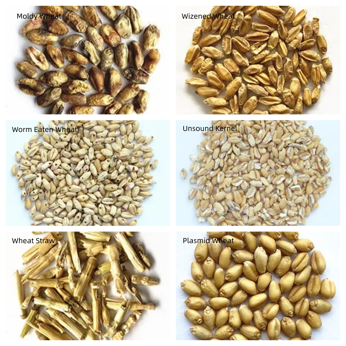 10-Chute 20 T/H High-Resolution Cereal Grain Color Sorter For Wheat, Corn And Grains.