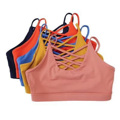 Dos sutiãs respiráveis dos esportes das senhoras de XS-4XL do Gym levantar partes superiores contínuas da colheita para correr