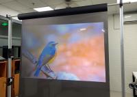 Tela holográfica transparente clara, Holoscreen 100 mícrons para a exposição/loja