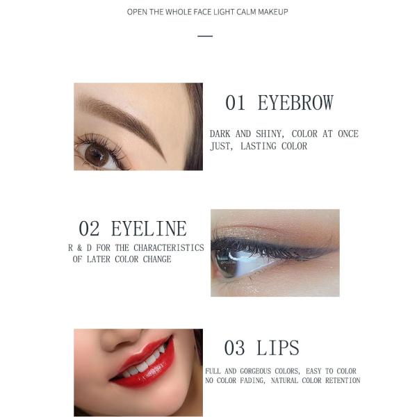 Чернил пигмента татуировки бутылки ОЭМ макияж больших постоянный для губы Эйелинес