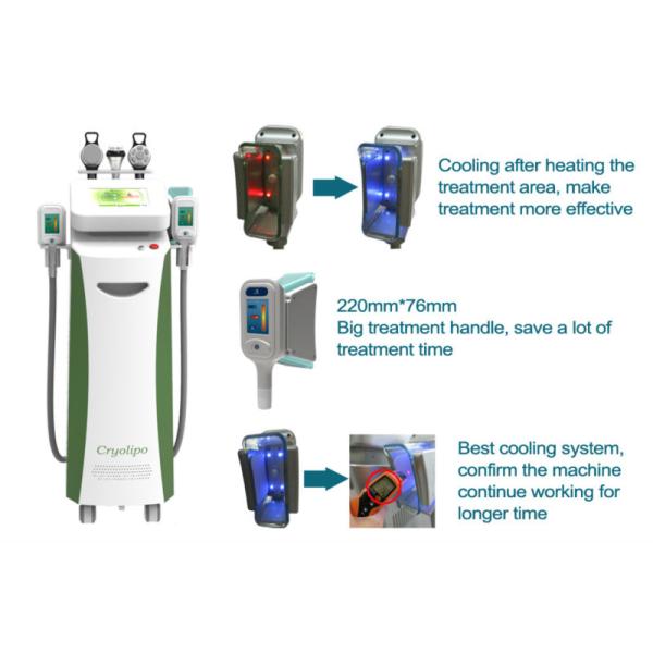 Best Price with cryolipolysis slimming weight loss and fat reduction machine for spa