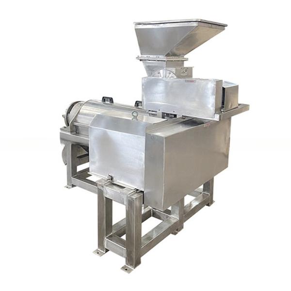 Commercial automatic fruit orange juicer machine cold press industrial juicer fruit extractor machine