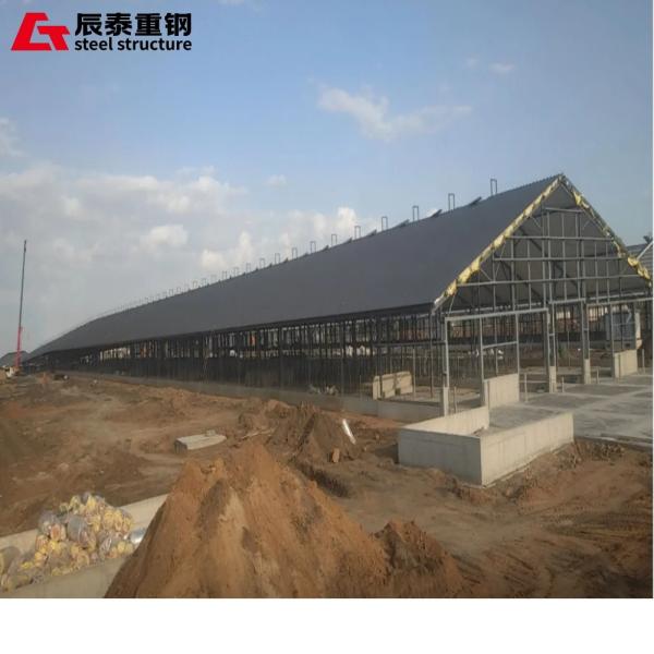 Efficient Prefabricated Large-span Space Intelligent Steel Structure Agricultural Building Farm