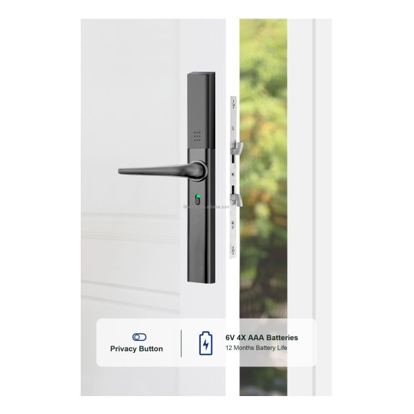 Wifi Remote Ttlock Fingerprint Ultra-slim Aluminum Tuya Sliding Door Smart Locks Digital Slim Smart Lock With App Unlock