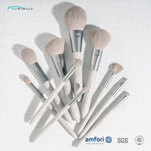 Набор щетки макияжа OEM 10PCS Nano роскошный для стороны