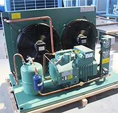 Комната моды небольшая холодная для сухой еды с конденсатором охлаженным воздухом