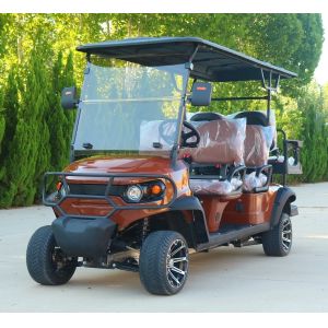 Buggy Off Road 4 Wheel Electric Golf Cart 6 Passengers 60V 100Ah Lead Acid Battery