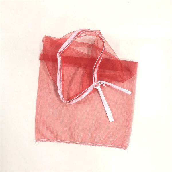 Free Sample Plastic Agriculture Fruit Protection Bags for Onion and Vegetable