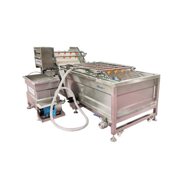 Fresh Ginger Industrial Washing Machine 100Kg Malaysia