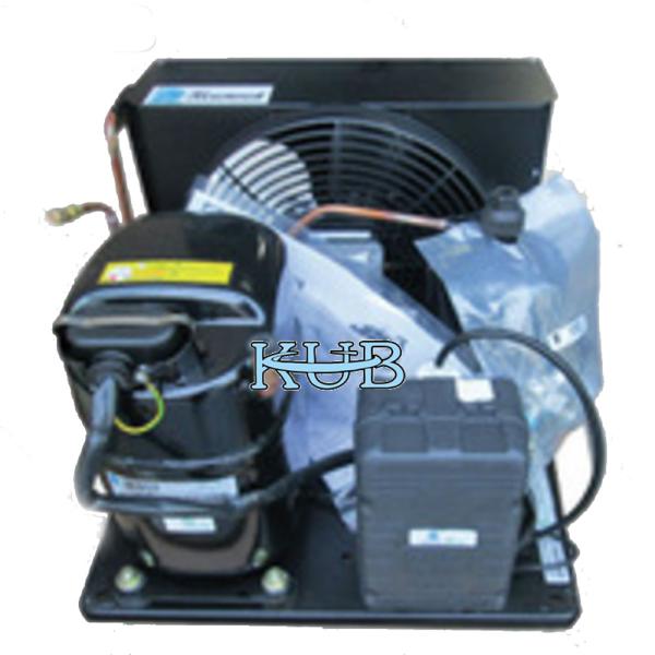Unidade de condensação da baixa temperatura de Tag4561Z 5HP apropriada para o tempo longo do refrigerador diferente