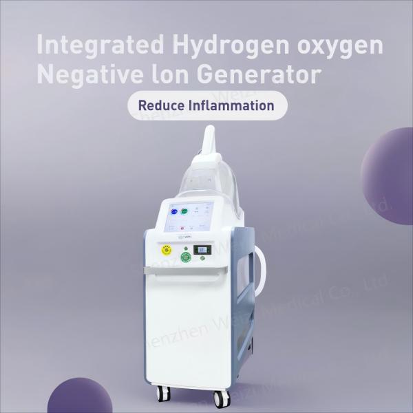 220Volt Negative Ion Hydrogen Oxygen Inhaler Enhanced Sleep Fatigue Relief