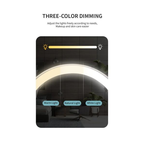 8 Inch Chrome 10x Magnifying Double Side USB Charging Bathroom 3 Color Makeup Mirror lamp(WH-MR-82)