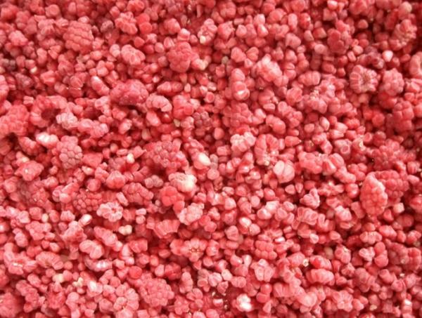 Wholesale IQF Frozen Raspberry Crumble Factory Price Strict Quality Control Good Taste
