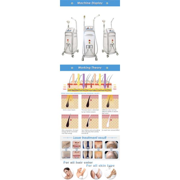 Машина красоты 808nm лазера Nd Yag 12 x 12mm дома многофункциональная