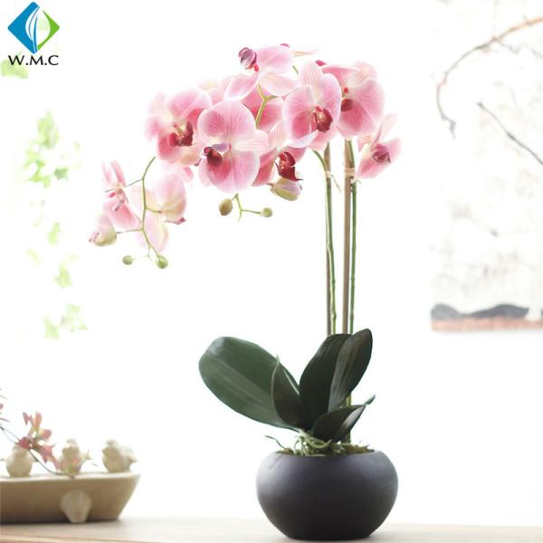 63cm Height Artificial Potted Plants , Fake Phalaenopsis Orchid 5-10 Years Life Time