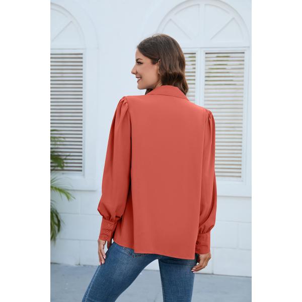 Chiffon White Ruffle Shirt Autumn Spring Hooded Collar Women Trucksuit