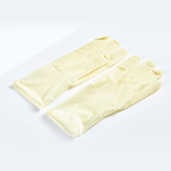 Sterile 100% Disposable Surgical Gloves Natural Latex Medical Surgical Examination Glove