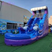 Comercial Inflables Niños Gran Explotar Deslizamiento de agua Palma del patio trasero Deslizamiento de agua Combo con piscina