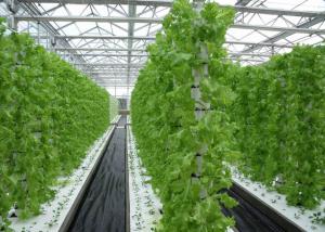 Space Saving Vertical Nft Hydroponic System Eco Friendly Recycles Water