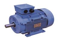 Iec 60034 31 Iec 60252 1 Single Phase Asynchronous Motor Aluminum