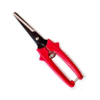 SB304 Ciseaux de fleuriste multi-tâches coupes de jardin à lame droite ciseaux de taille