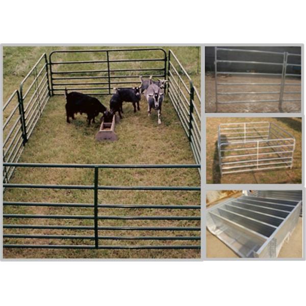 панели скотин 40кс80 ММ сверхмощные, овальные панели скотин трубки для коз