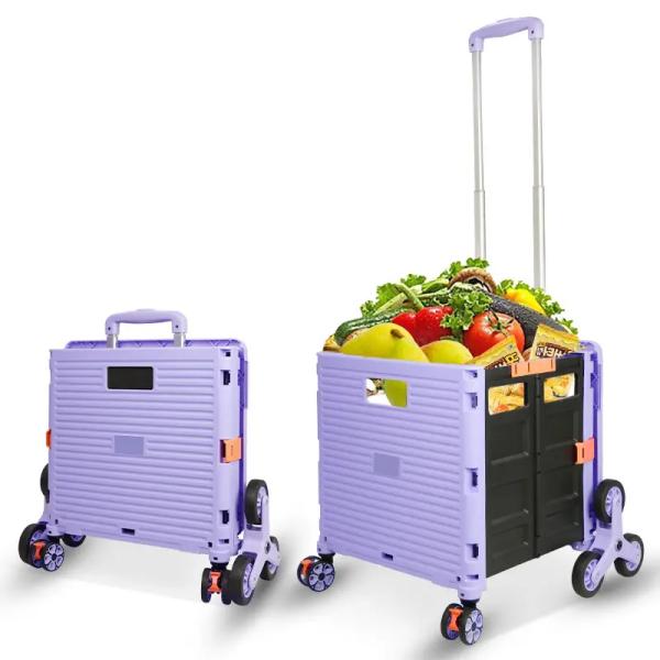 Багаж супермаркета вагонетки корзины лестниц подъема пластиковый располагаясь лагерем с крышкой