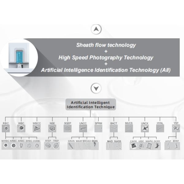 Sediment Urine Analyzer Machine OEM MUS-360 With CE Certification