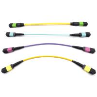 La correction optique à haute densité de fibre attachent OM3 OM4 8 12 24F G657A1 MPO MTP