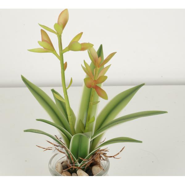 Mini Artificial Agave Bonsai With Glass Pot