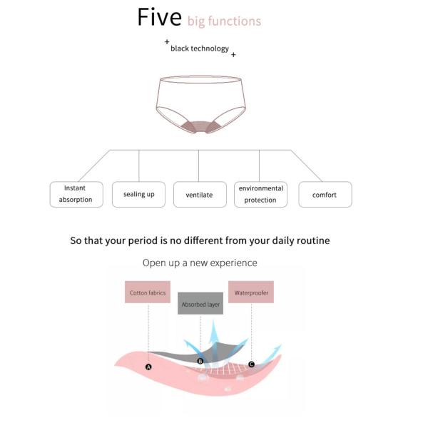 In Stock 3 Layers Multi Color Leakproof Menstrual Panties  Cotton Brief Absorbent Period Underwear For Women
