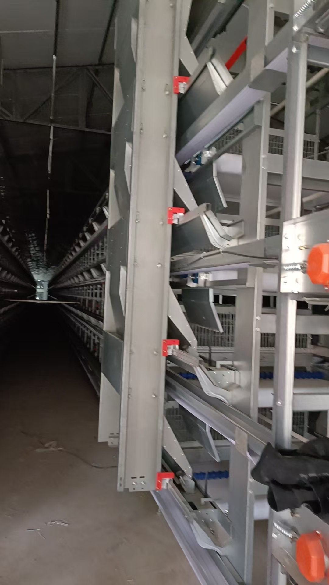 Stacked H Type Layer Cage Galvanized Constructed Automatic Layer Poultry Farm Cage