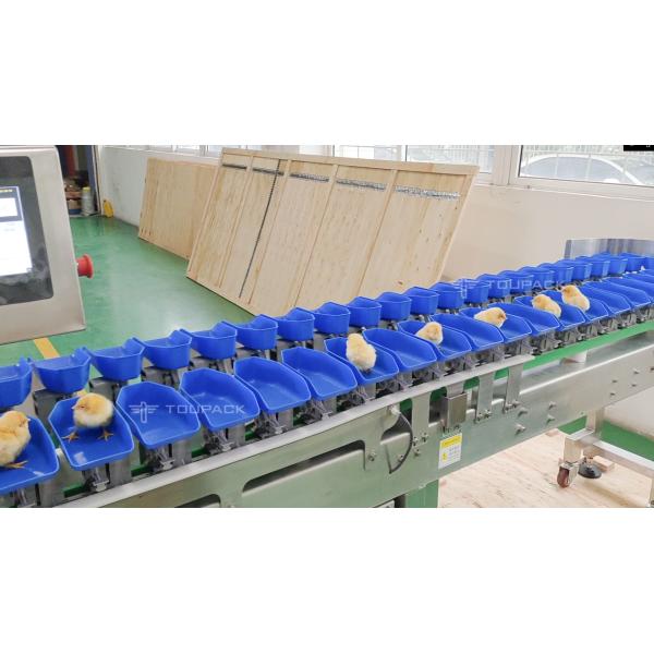 Умная автоматическая машина Weigher проверки транспортера для красного контролера веса Weigher пояса сортировщицы сосисок креветки