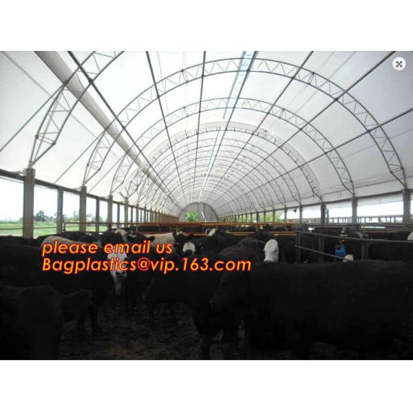 agriculture anti insect net on roll insect proof mesh for greenhouse,Greenhouse Anti Insect Netting /Agriculture Netting