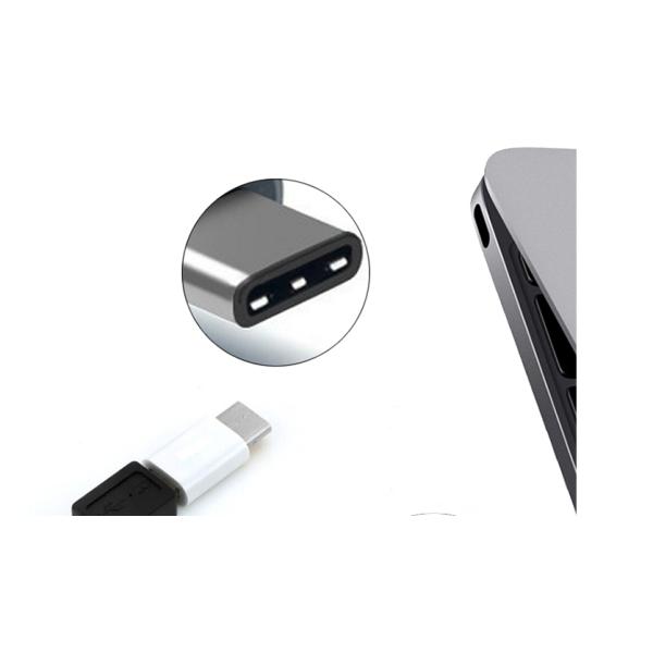 Data Adapter Type C Male To Female USB Connector Converter With Micro Charging Port