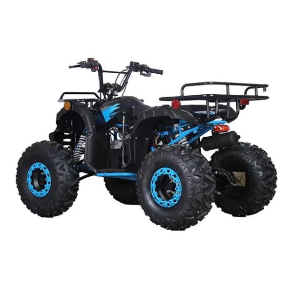 110cc Gas ATV for Kids Electric Start 4 Strokes Automatic Off Road 4 Wheel Quad Bike
