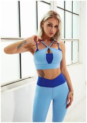 Oem Factory Manufacturer Custom Logo Women's Sexy Yoga Tops Double Shoulder Strap Sports Bra