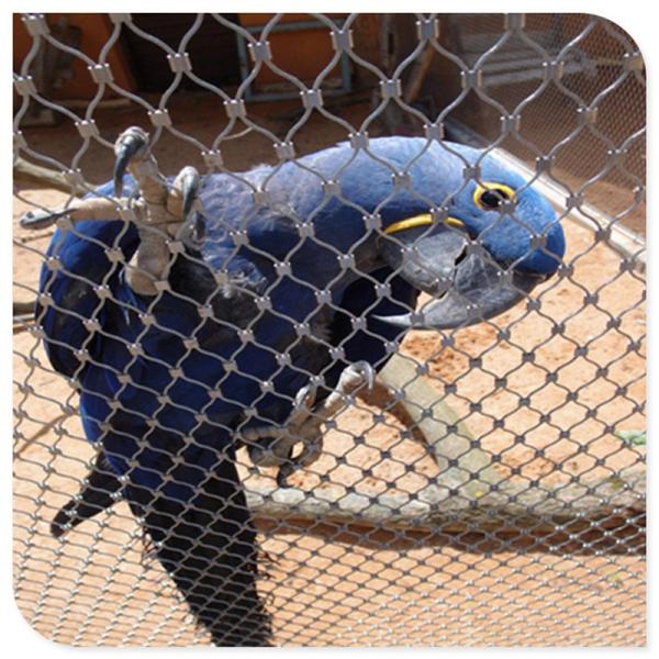 Knotted Stainless Steel Aviary Mesh Poultry Netting Zoo Animal Rope Mesh