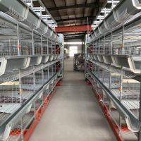 Couche galvanisée de volaille poulets cage pour la ferme batterie cages pour la volaille couche de poulet