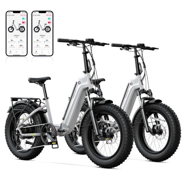Hot Selling TST 250W Powerful Steel Frame Electric Hybrid Folding Bike for Teens Electric Bike Adults Bicicleta Foldable Ebike