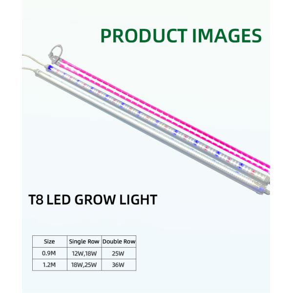 18W 25W 36W 42W 4Ft Led Tube T8 Grow Light SAMSUNG LM301H EVO LM281B 6500K 460nm 660nm For Veg Bloom