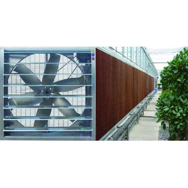 Serre à écran automatique multi-étendue à 3 couches avec structure en acier