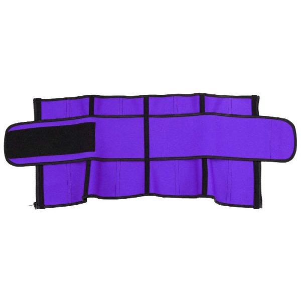 OEM Purple Single Belt Latex Hourglass Waist Trainer With Zipper