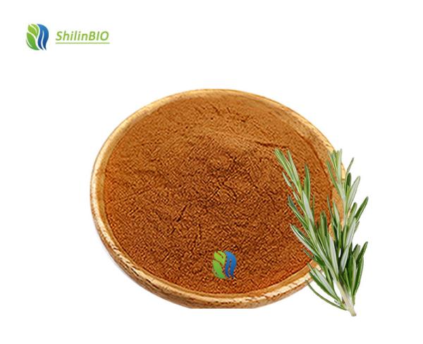 Rosemary Extract Carnosic Acid 10% Carnosic Acid