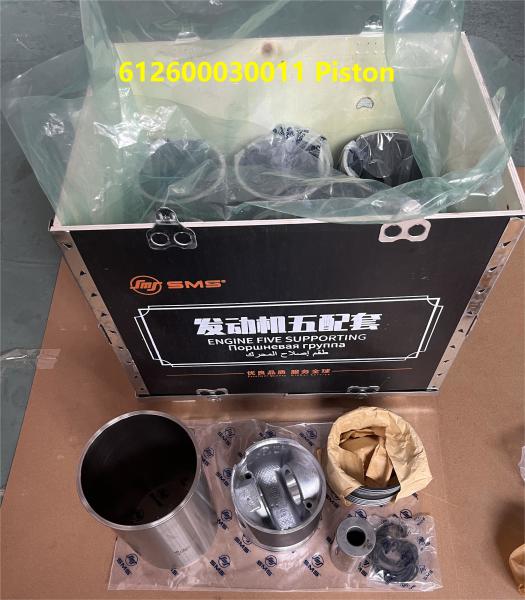 612600030011 Automotive Cylinder Sleeves WEICHAI Engine Parts WEICHAI WD615