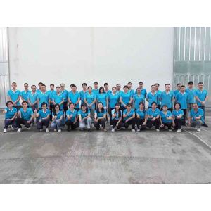 Foshan Shunde District Shengfei Electrical Technology Co., Ltd.