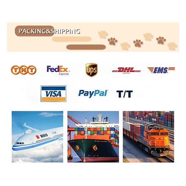 Stimulate Cat Interest Purple Interactive Movement Pet Toy with Gravity Feed Leaky Food