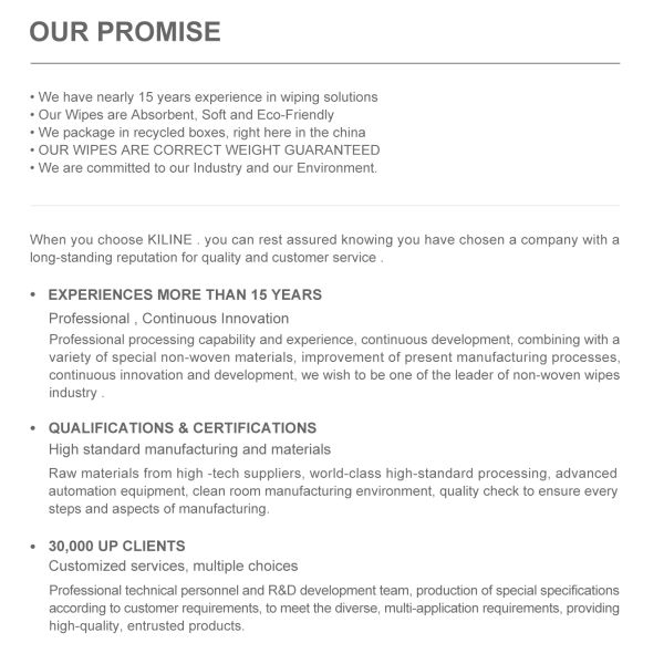 25x25cm Size 35g GSM Cleanroom Wipers with Viscose 50% Polyester 50% Material for Industrial Cleaning